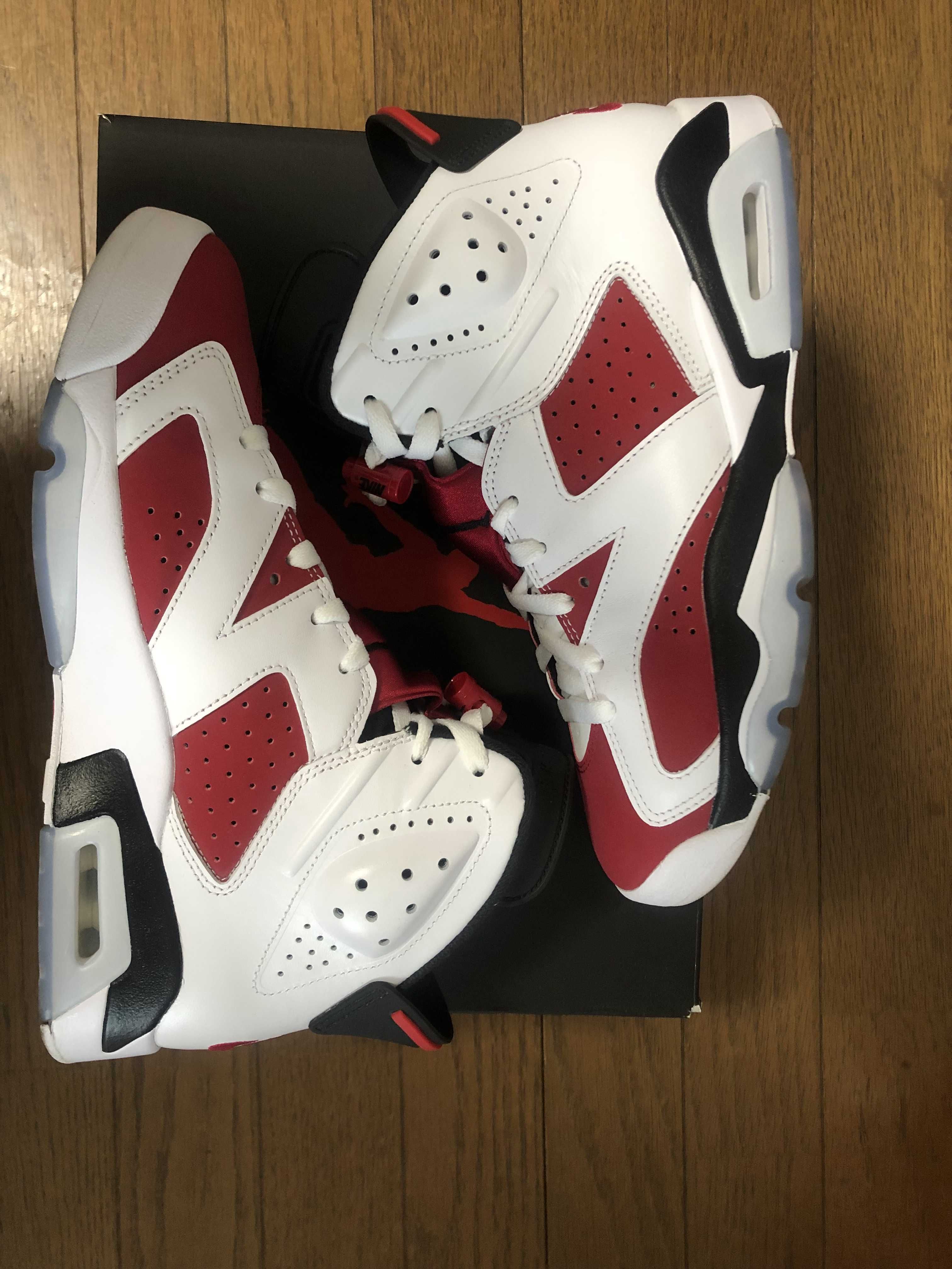 Nike Air Jordan 6 "Carmine" (2021)