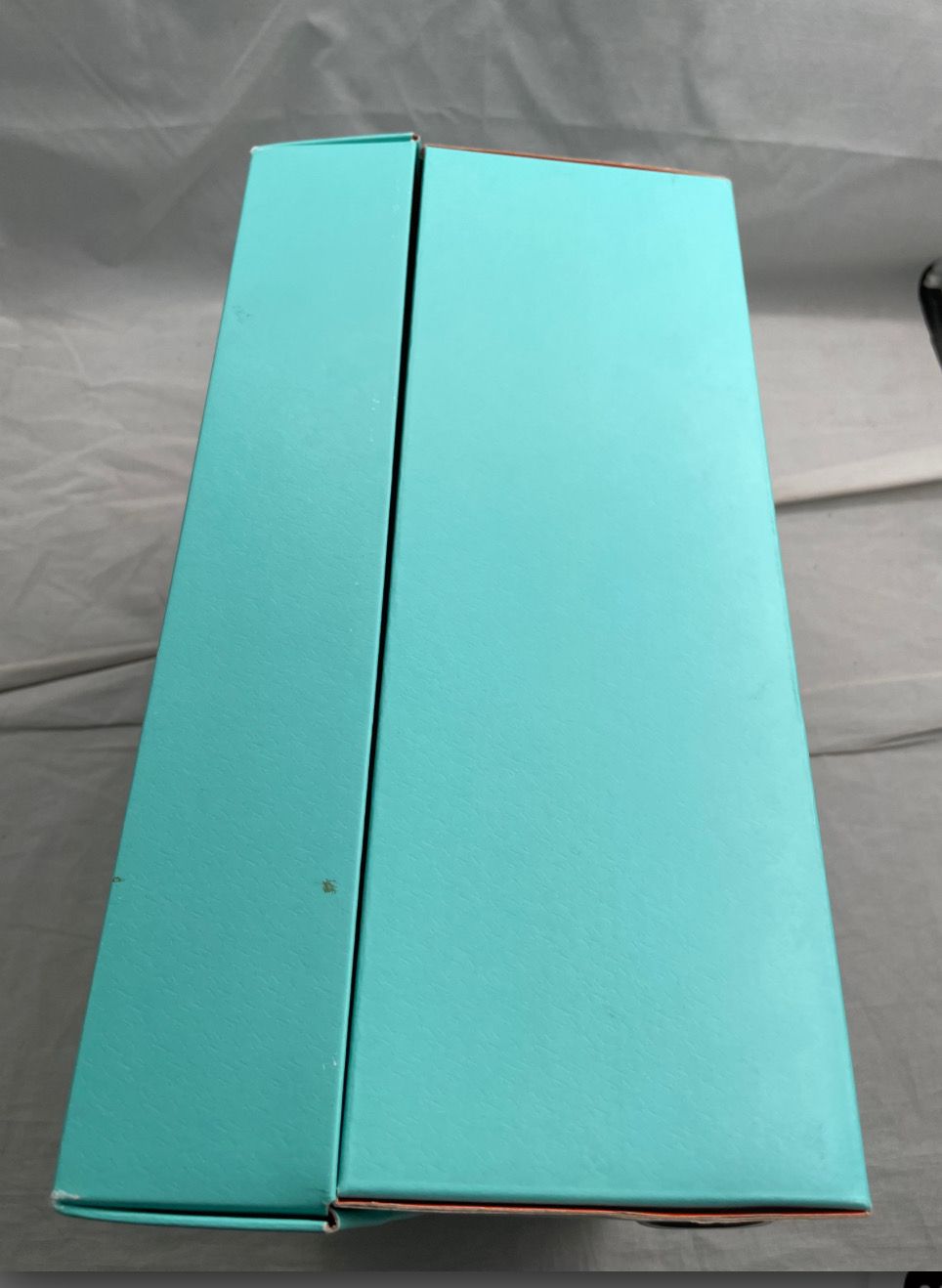 Tiffany & Co. × Nike Air Force 1 Low "1837"