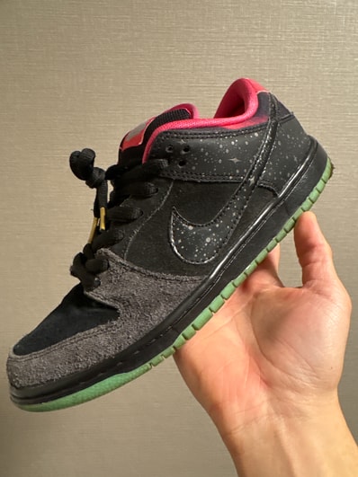 Nike SB Dunk Low Premier "Northern Lights"