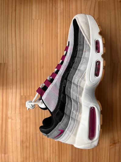 Nike SB Air Max 95 "Summit White/Cactus Flower"