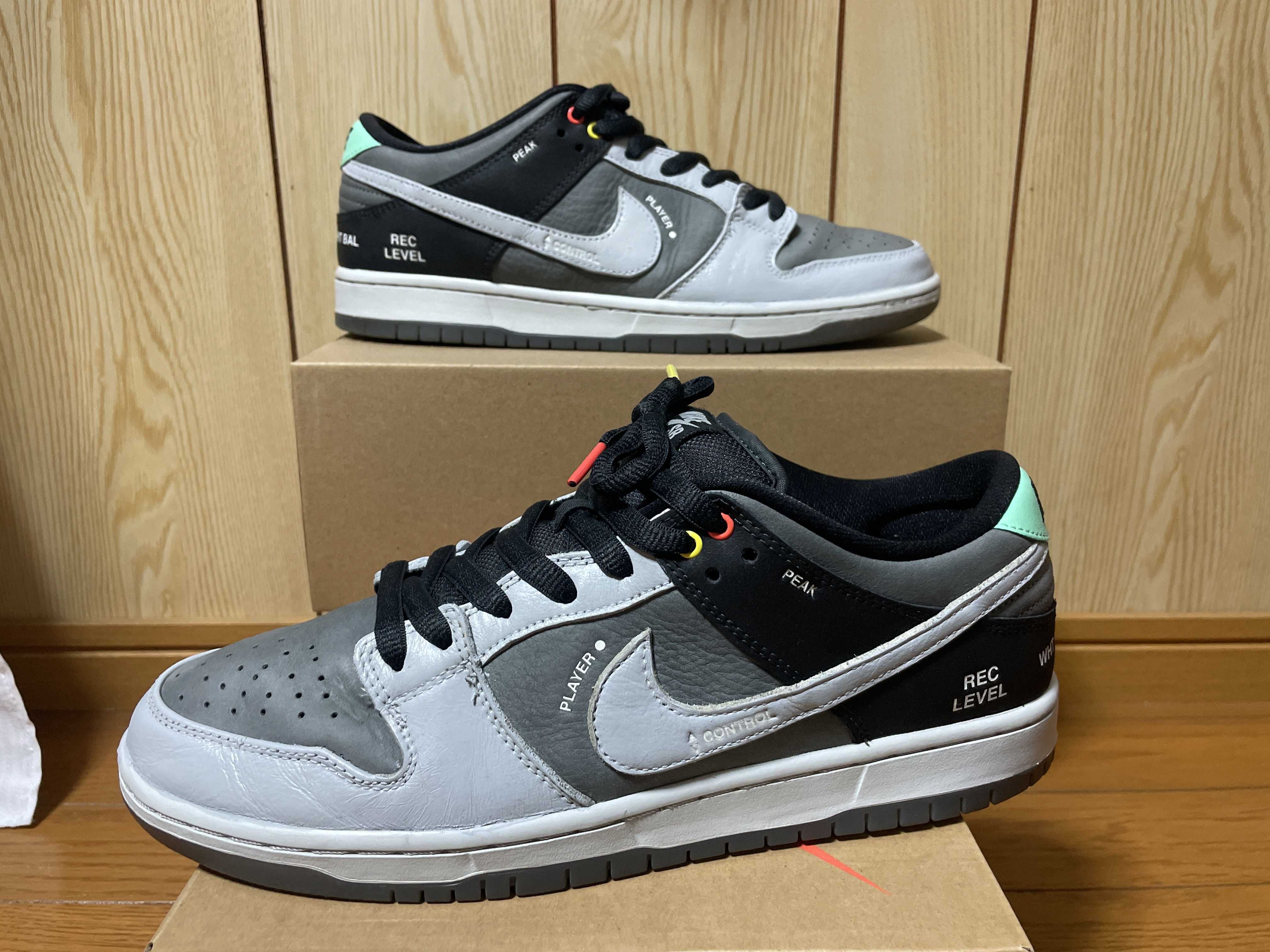 Nike SB Dunk Low Pro "VX1000 Camcorder"