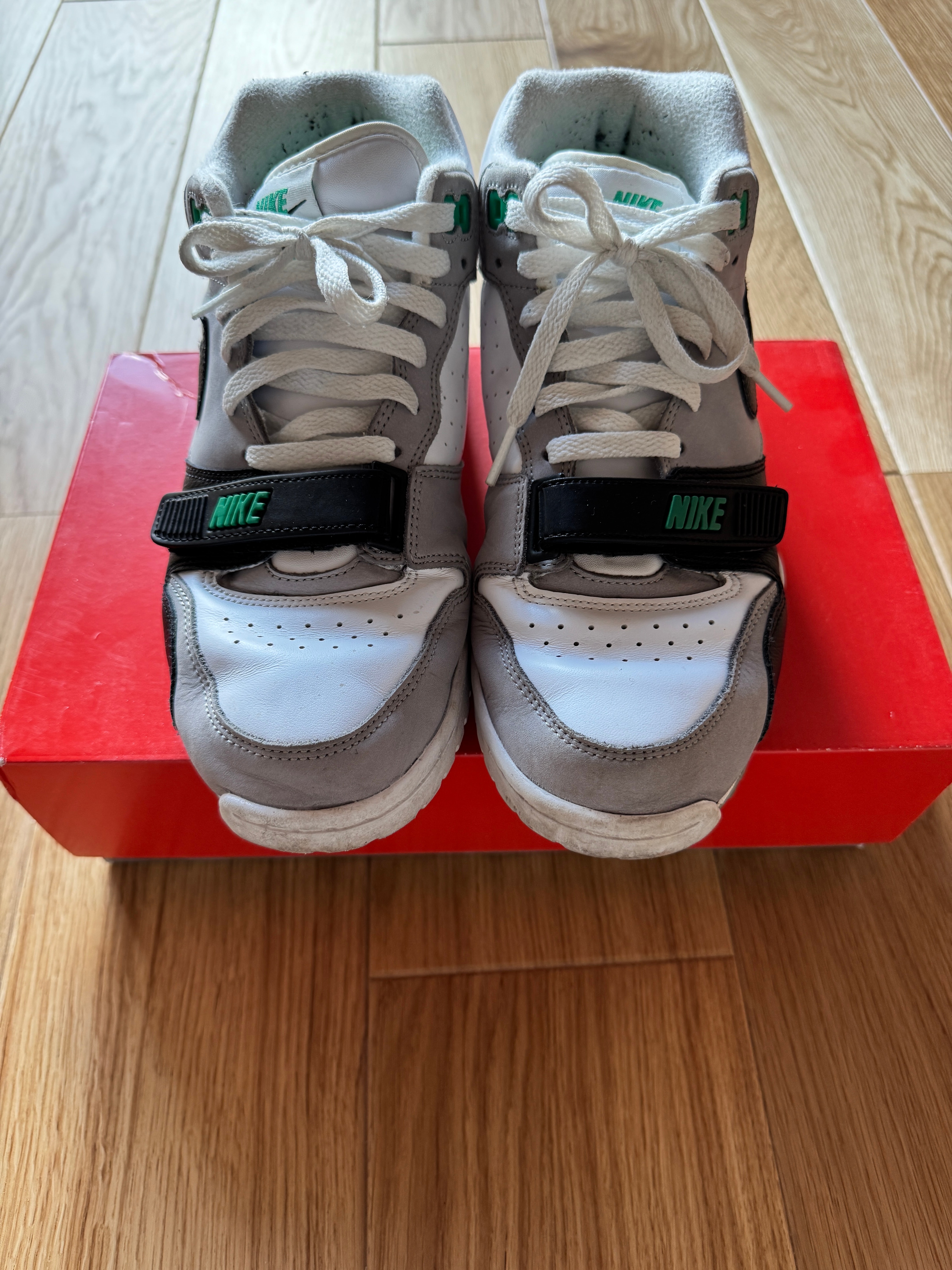 Nike Air Trainer 1 "Chlorophyll"