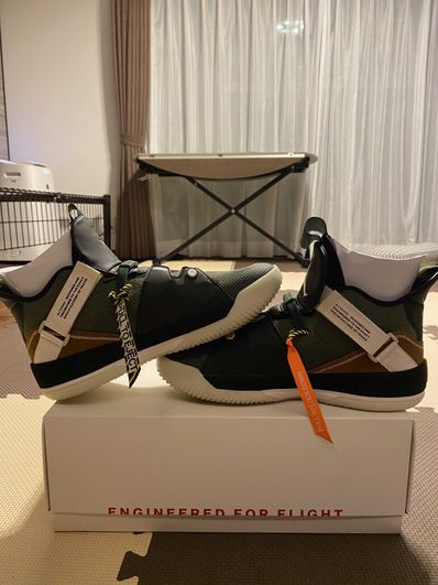 Travis Scott × Nike Air Jordan 33 NRG "Cactus Jack"
