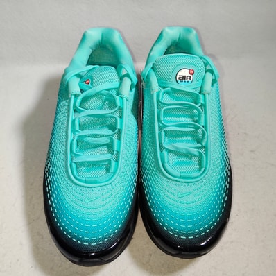 Nike Women's Air Max DN PRM "Dusty Cactus/Light Aqua"