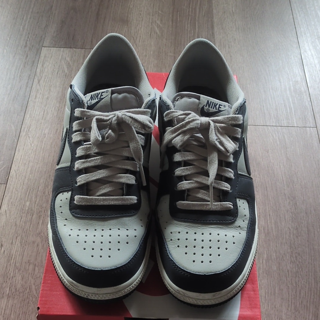 Nike Terminator Low "Dark Obsidian and Granite/Georgetown"(2023)