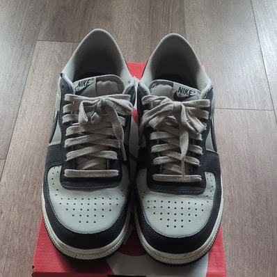 Nike Terminator Low "Dark Obsidian and Granite/Georgetown"(2023)