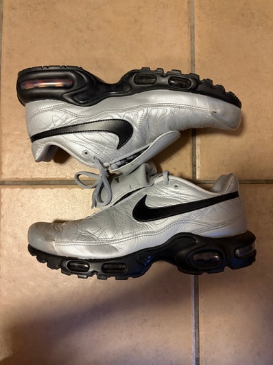 Nike Air Max Plus Tiempo "Wolf Grey and Black"