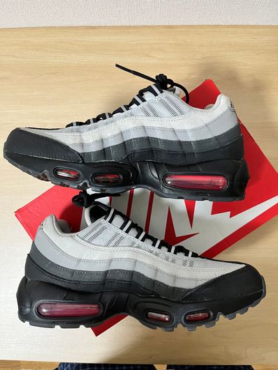 Nike Air Max 95 Koi "Pure Platinum"