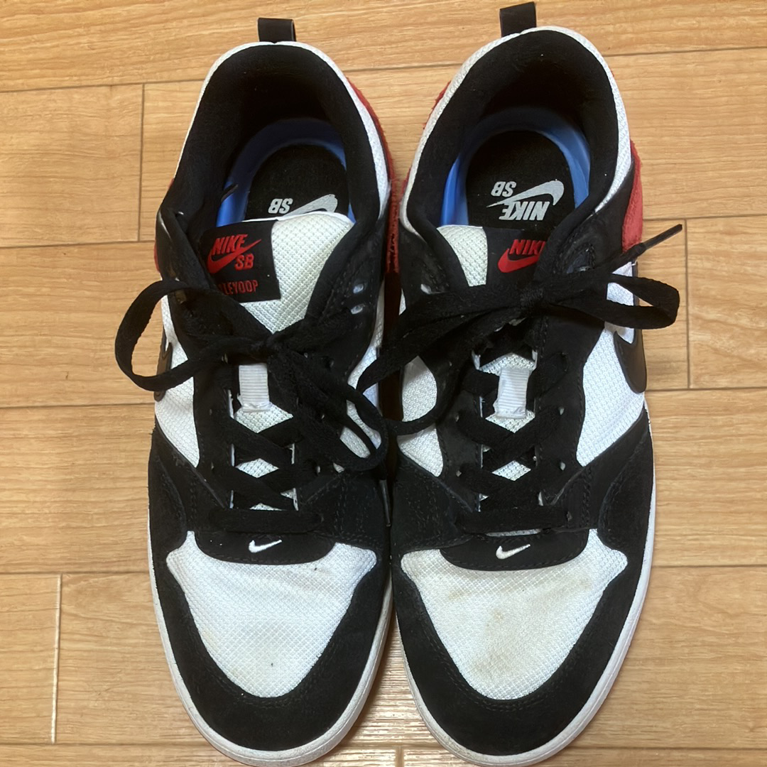 ナイキ SB アリウープ "ブラック トゥ"