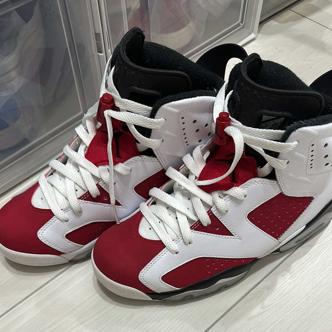 Nike Air Jordan 6 Retro "Carmine" (2014)