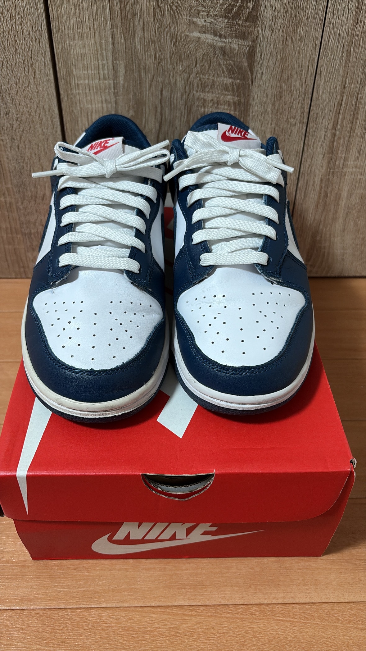 Nike Dunk Low "Valerian Blue"