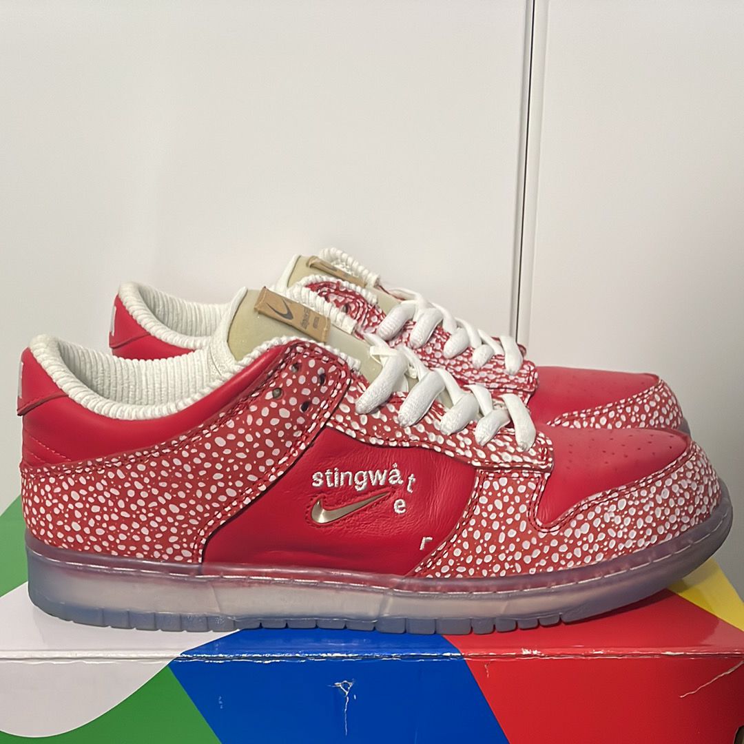 Stingwater × Nike SB Dunk Low 