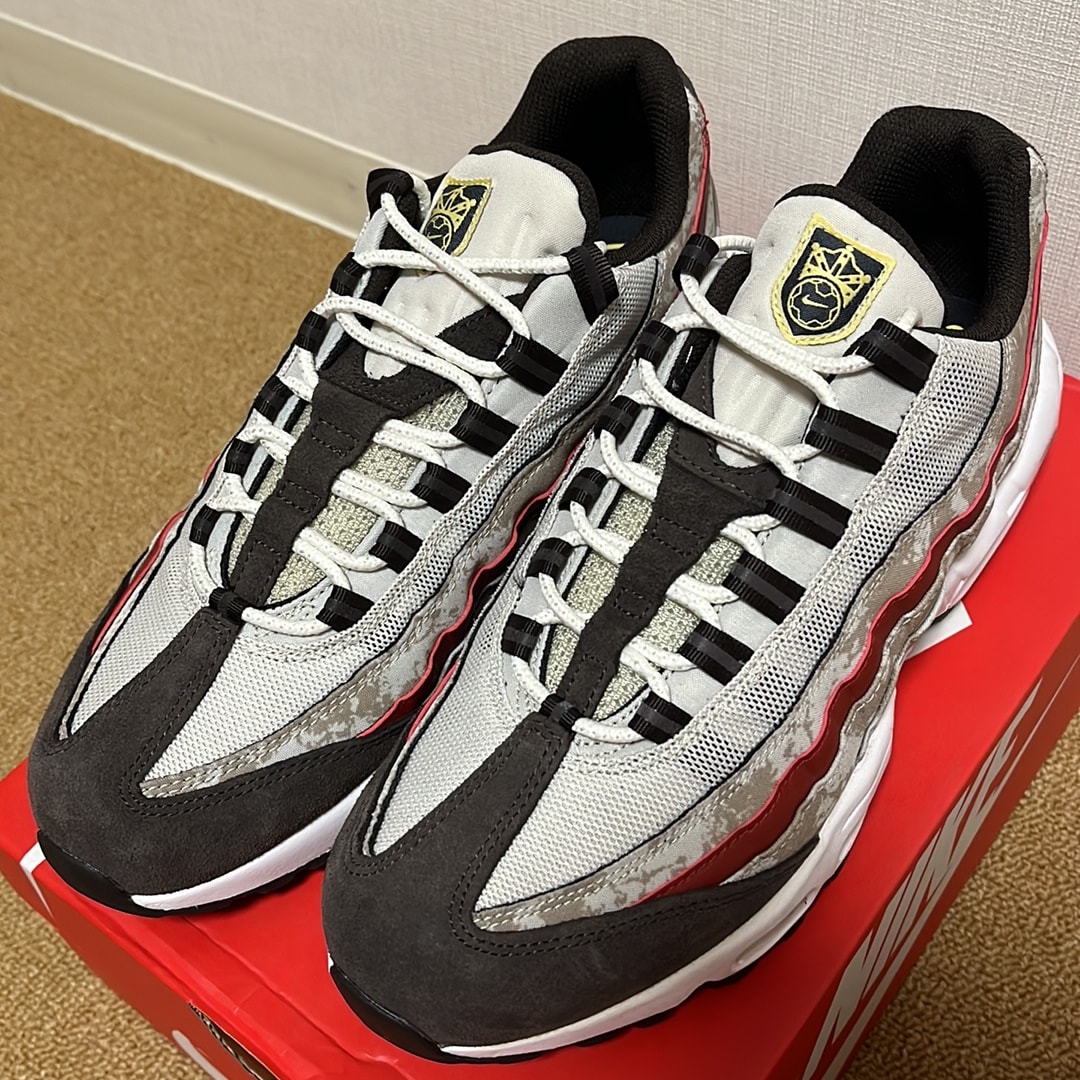 Nike Air Max 95 "Social FC"