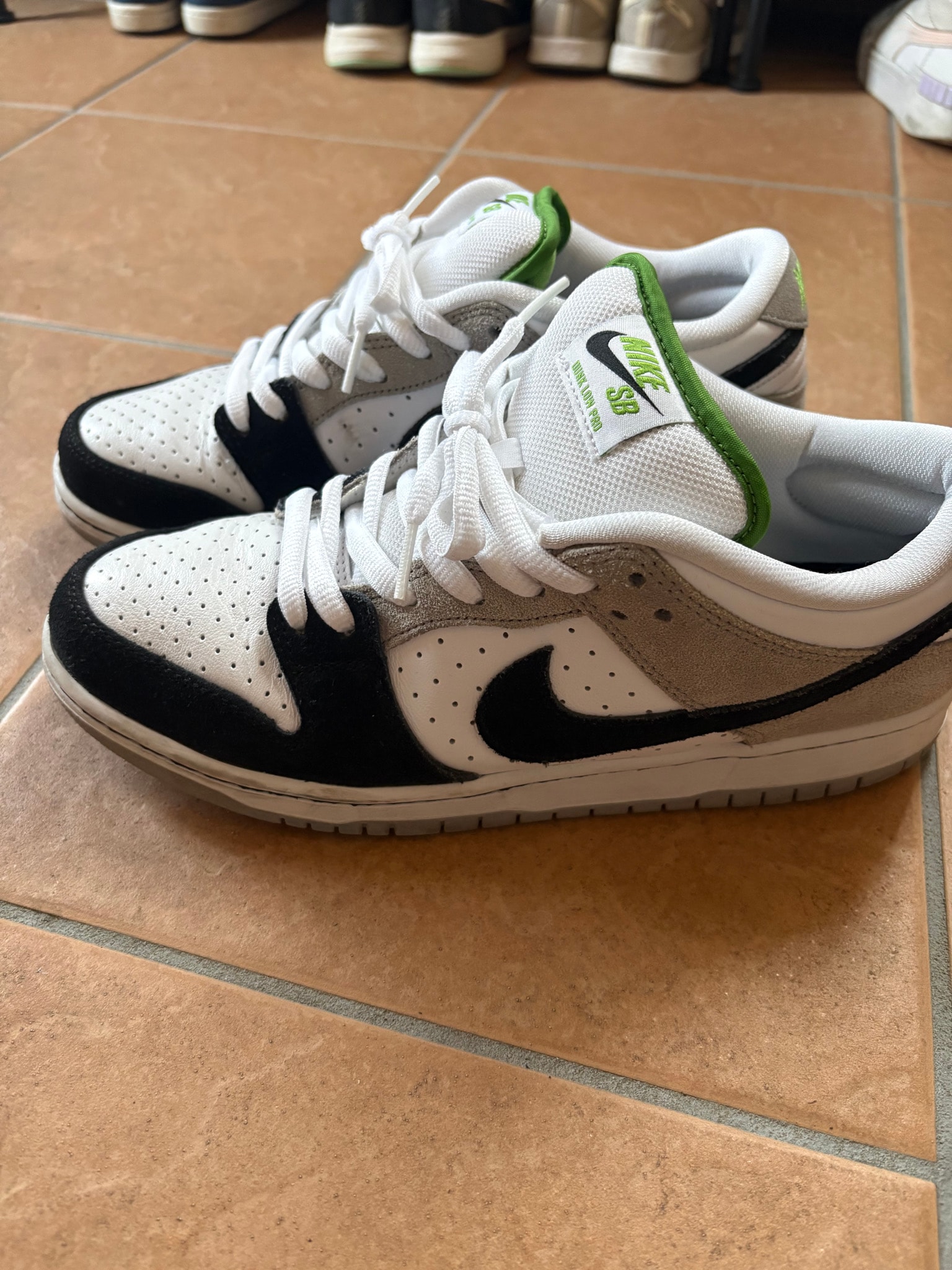 Nike SB Dunk Low "Chlorophyll"