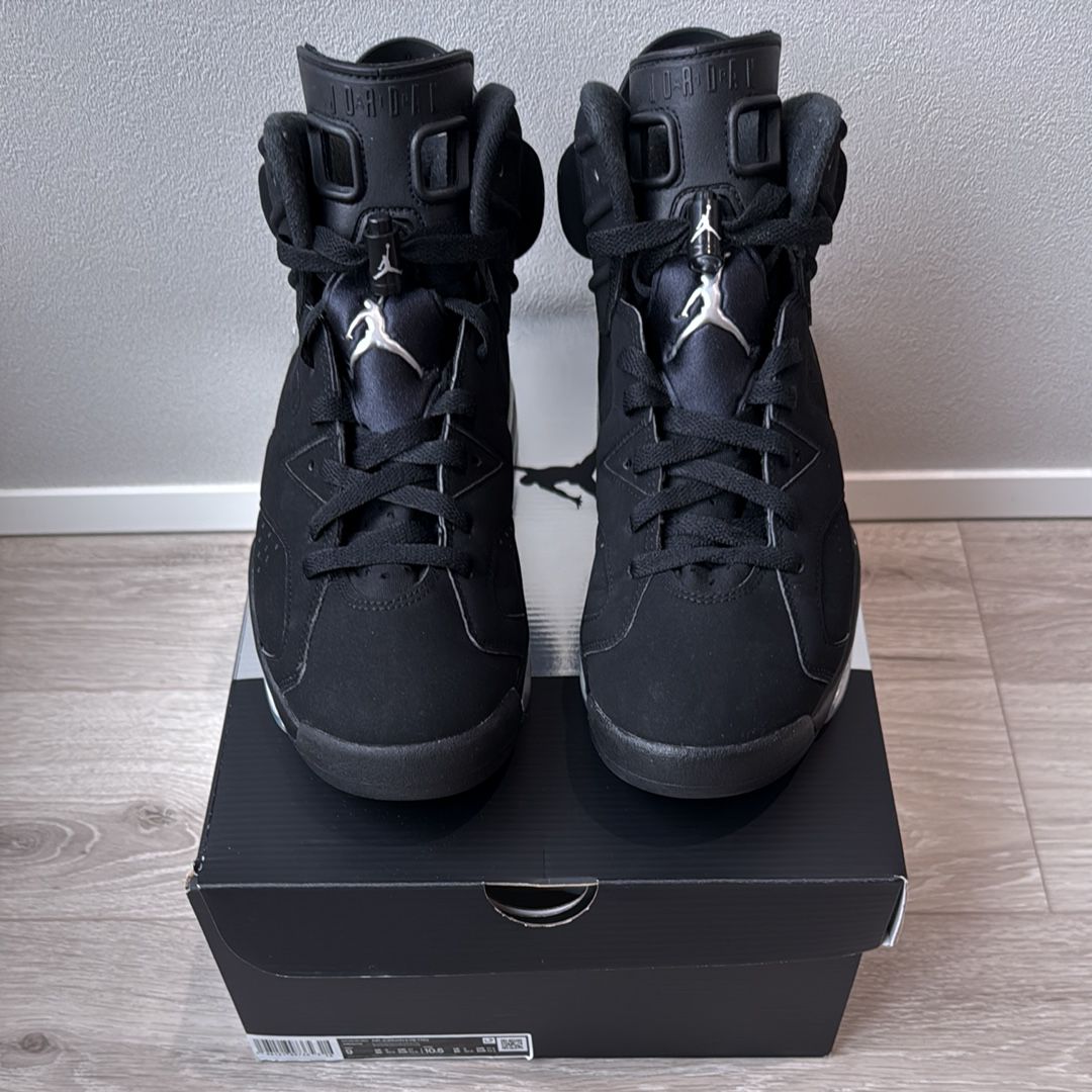 Nike Air Jordan 6 Retro "Metallic Silver"