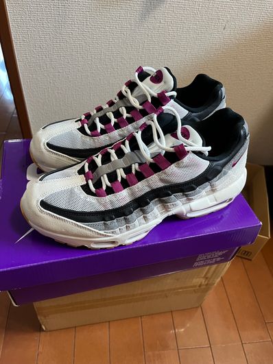 Nike SB Air Max 95 "Summit White/Cactus Flower"