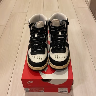 Nike Terminator High "Black and Phantom"