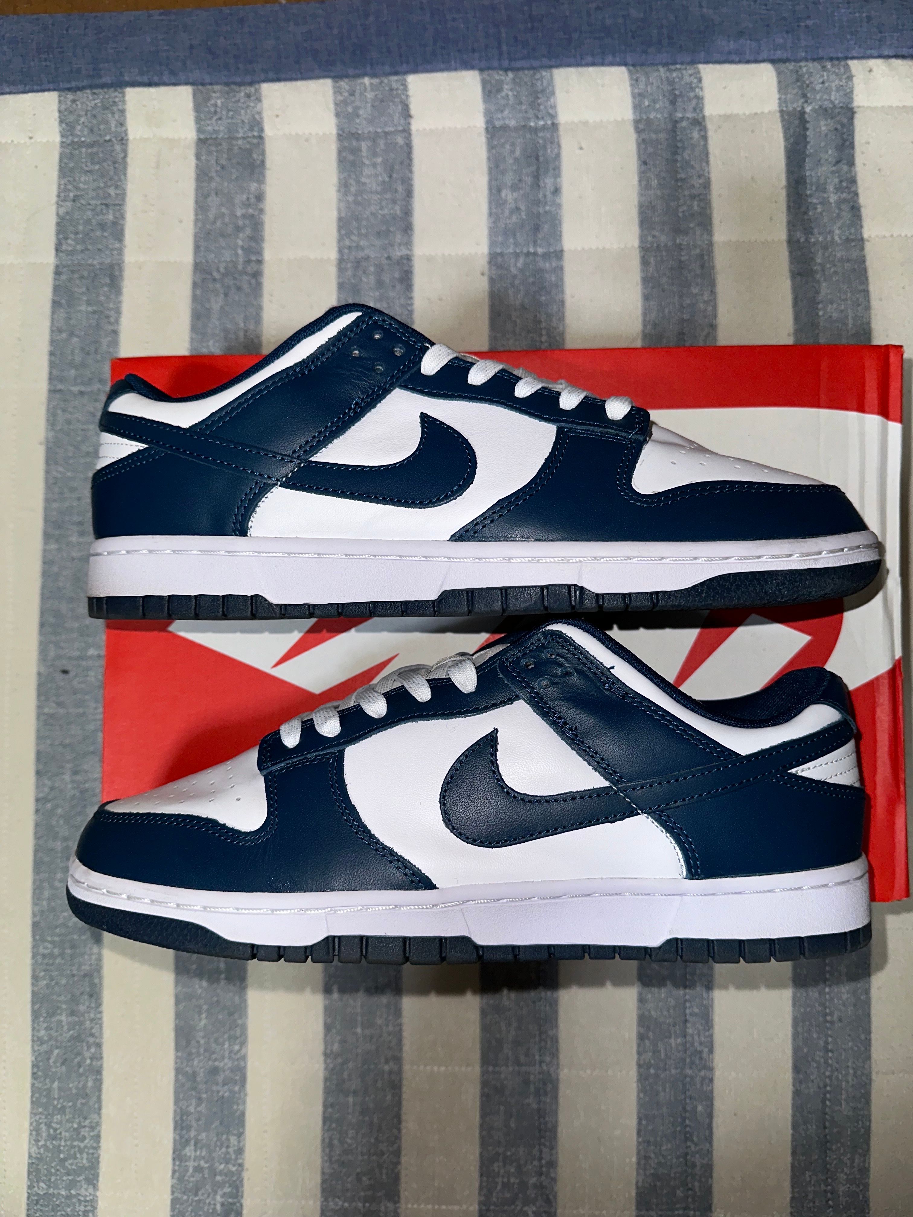 Nike Dunk Low "Valerian Blue"