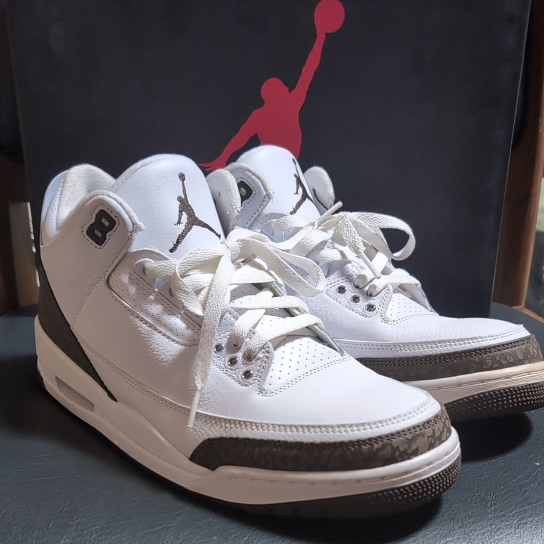Nike Air Jordan 3 Retro "Mocha" (2018)