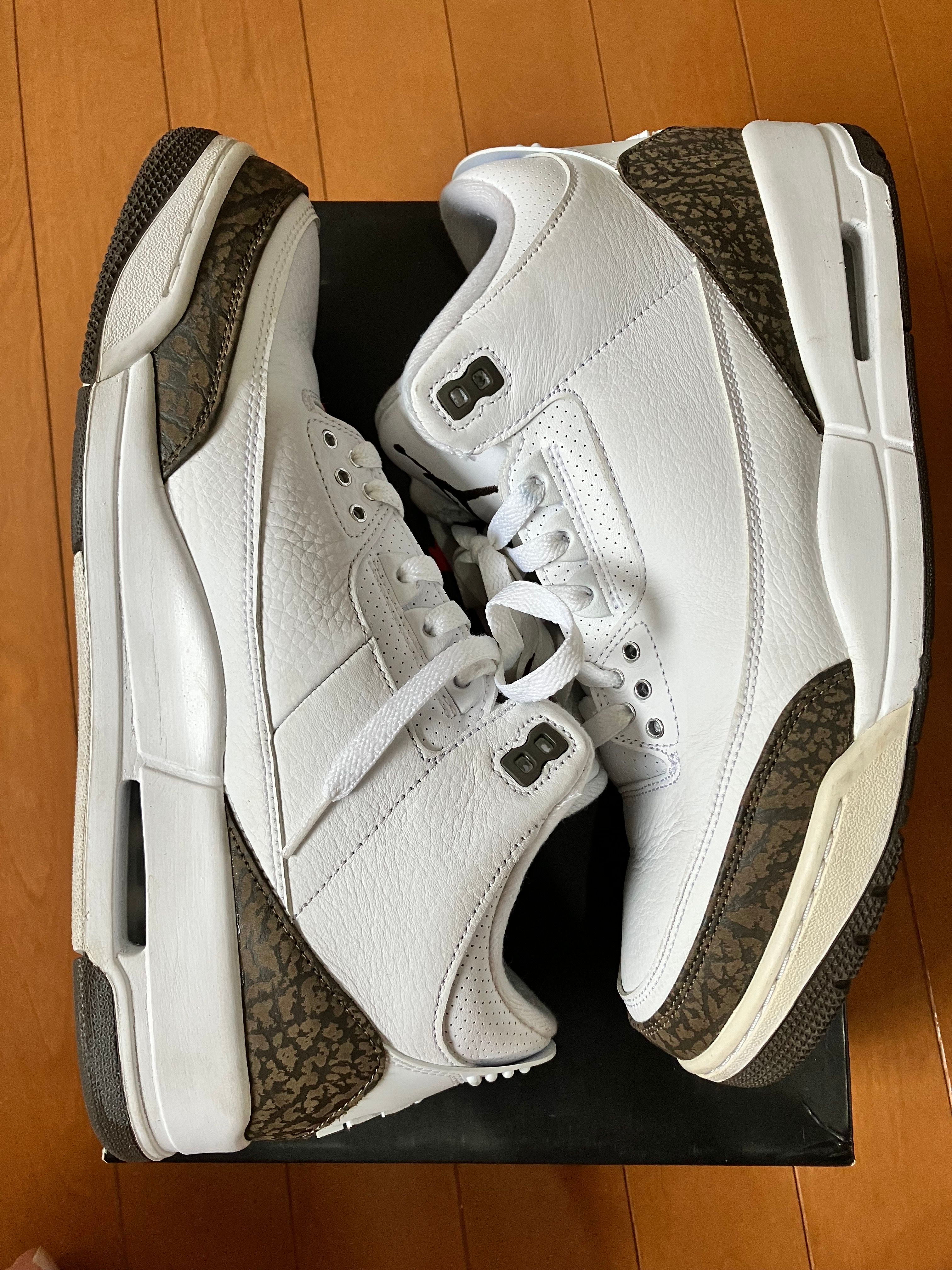 Nike Air Jordan 3 Retro "Mocha" (2018)