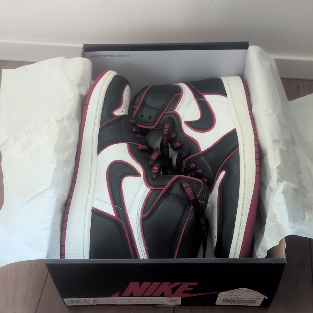Nike Air Jordan 1 Retro High OG "Blood Line"