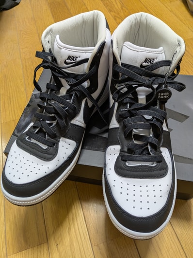 COMME des GARCONS HOMME PLUS × Nike Terminator High "Black"
