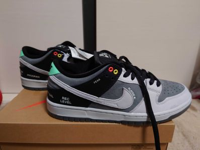 Nike SB Dunk Low Pro "VX1000 Camcorder"