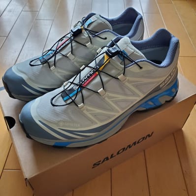 Salomon XT-6 GORE-TEX "Metal/Flint Stone/Ghost Gray"