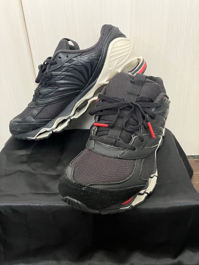 Graphpaper × Mizuno Wave Prophecy LS "SUMI"
