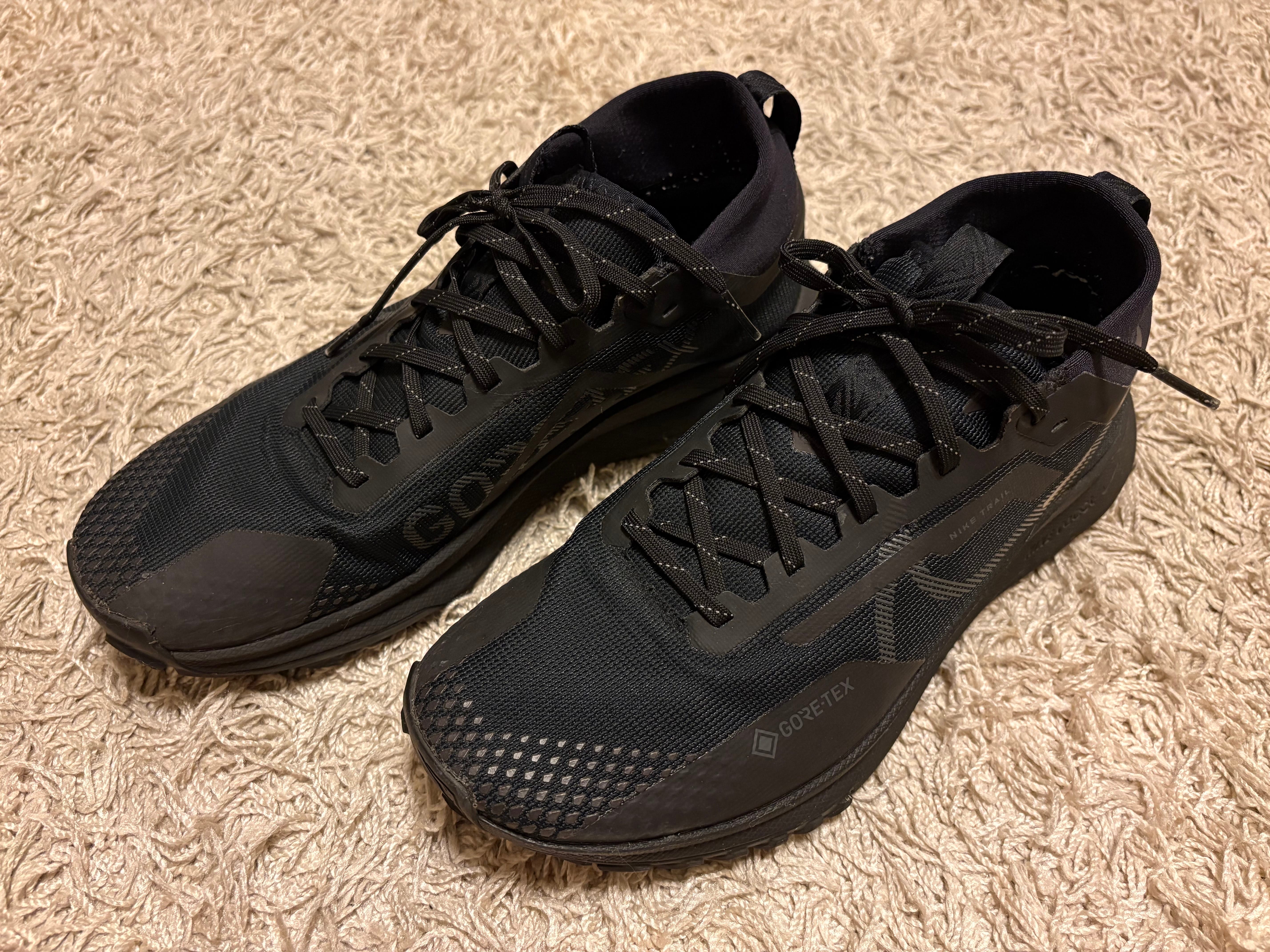 Nike React Pegasus Trail 4 GORE-TEX "Black/Anthracite/Velvet Brown"