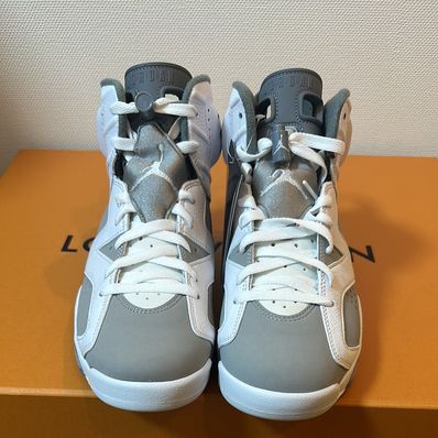 Nike Air Jordan 6 "Cool Grey"