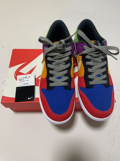 Nike Dunk Low SP "Viotech"