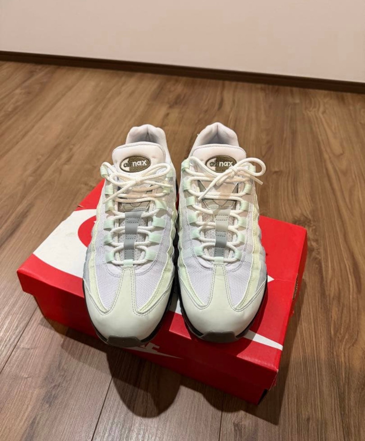 Nike Air Max 95 "Sequoia/Olive Grey"