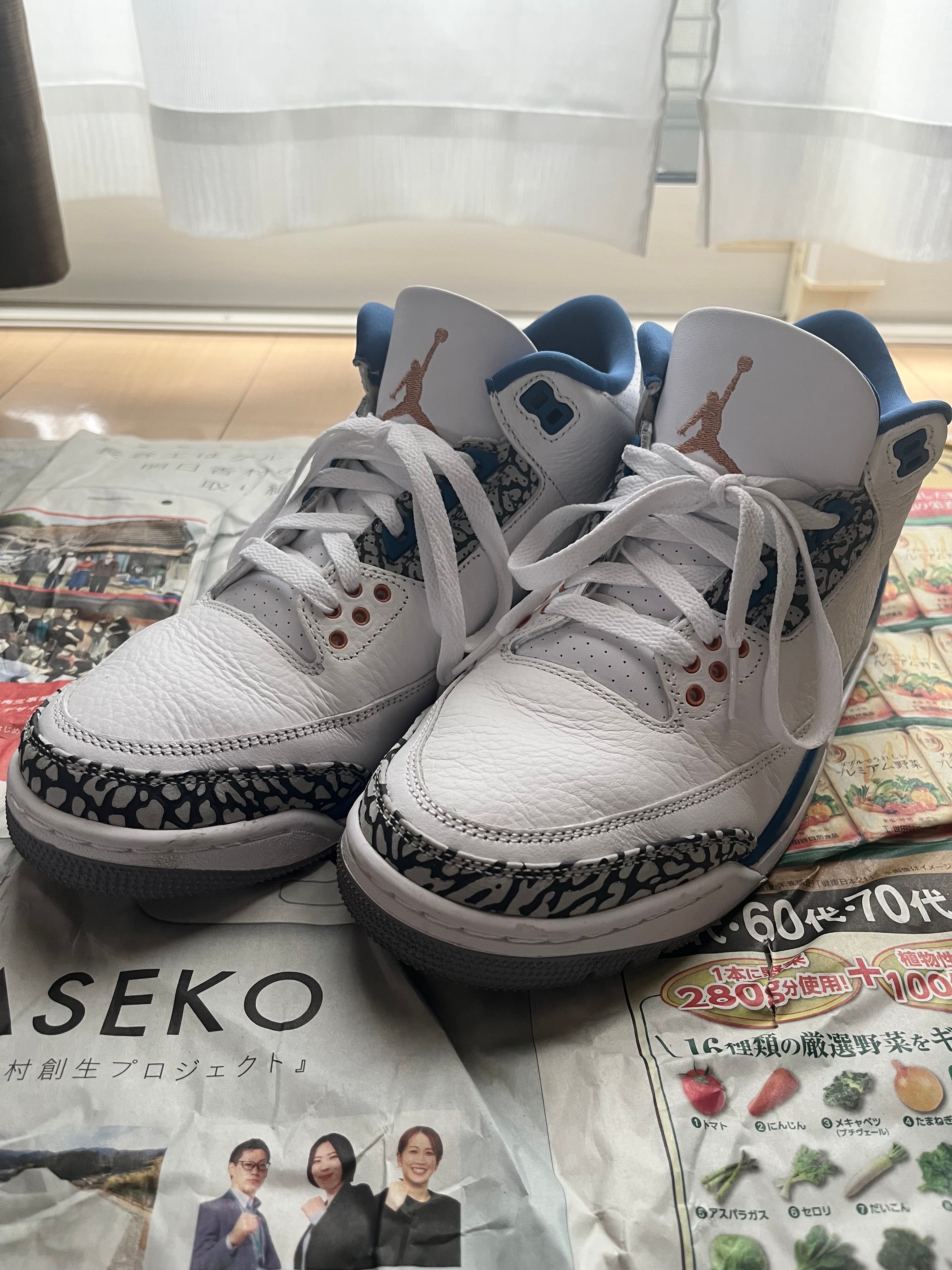 Nike Air Jordan 3 Retro "True Blue and Copper"