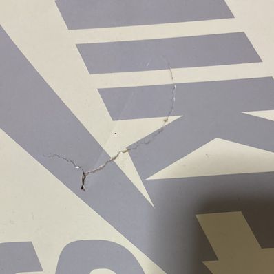 Rayssa Leal × Nike SB Dunk Low PRM "Pure Platinum and Vivid Purple"