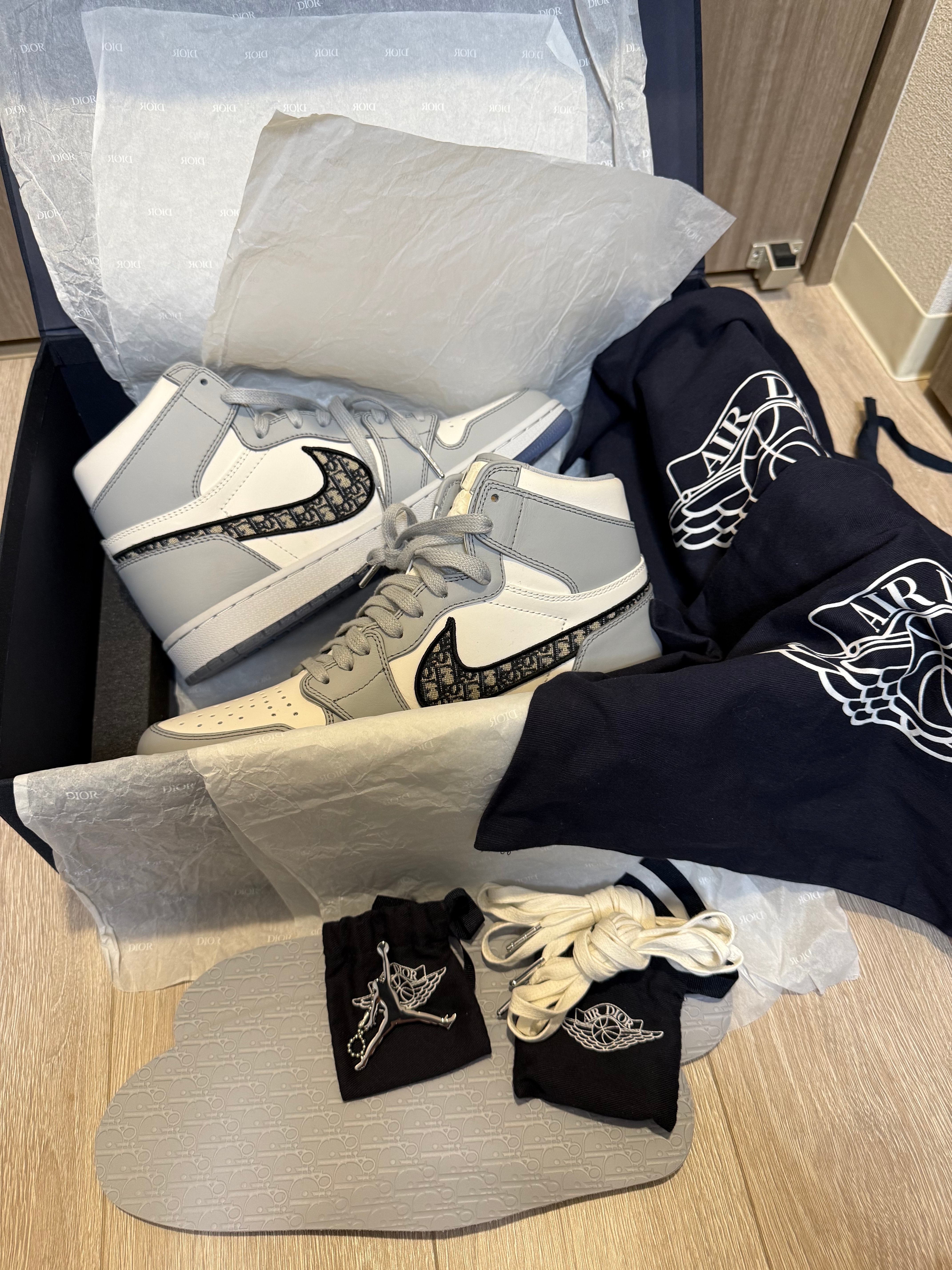 Dior × Nike Air Jordan 1 High OG "DIOR"