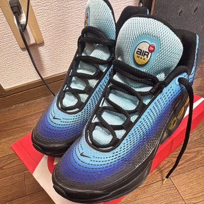 Nike Air Max DN SE "Sky Blue"