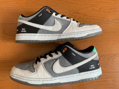 Nike SB Dunk Low Pro "VX1000 Camcorder"