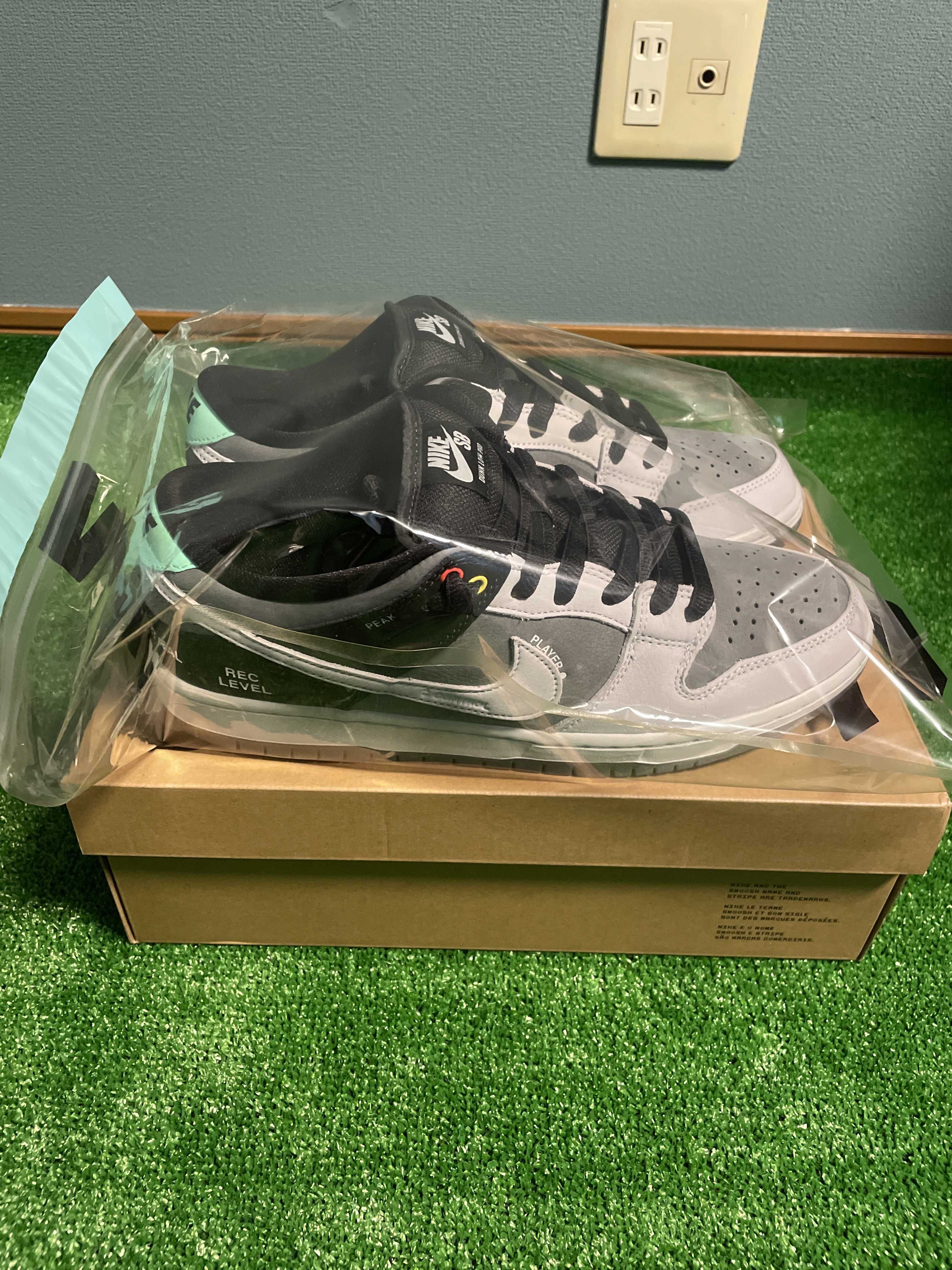 Nike SB Dunk Low Pro "VX1000 Camcorder"