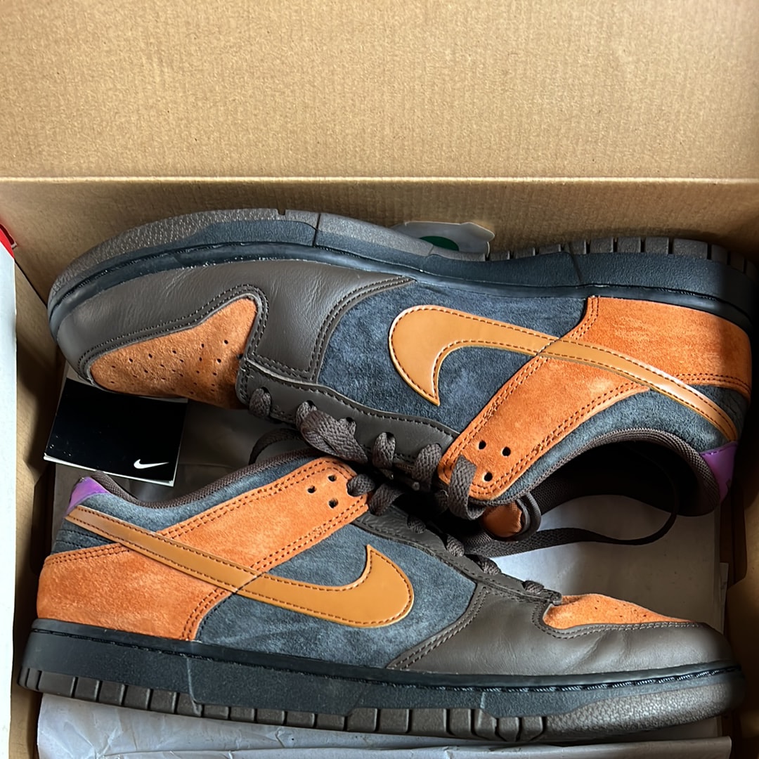 Nike Dunk Low "Cider"