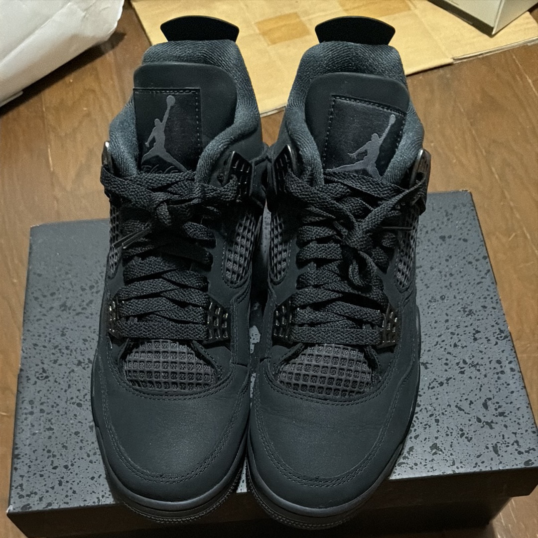Nike Air Jordan 4 Retro OG "Black Cat" (2025)