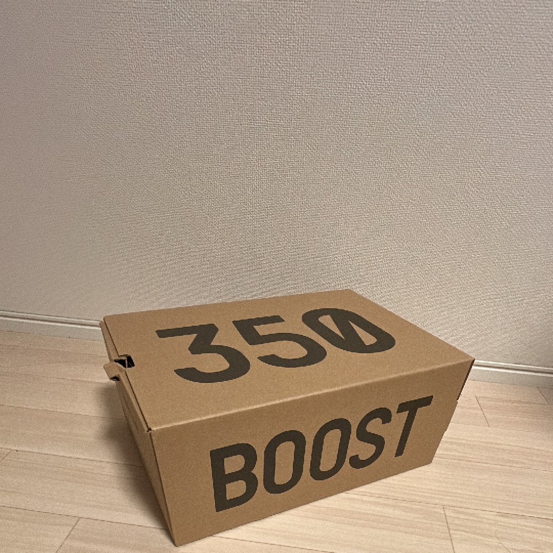 adidas YEEZY Boost 350 V2 "Core Black/Red" (2020)