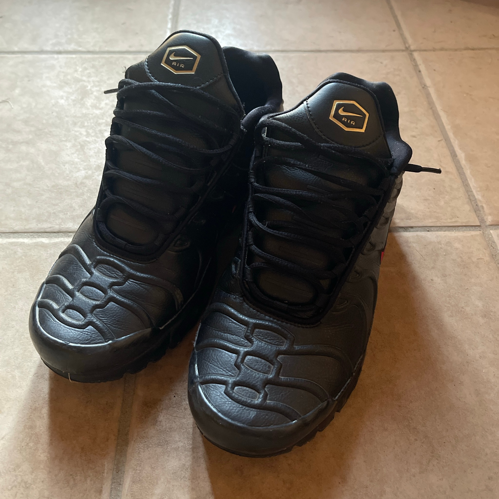 Nike Air Max Plus PRM "Black/Metallic Gold/University Red"