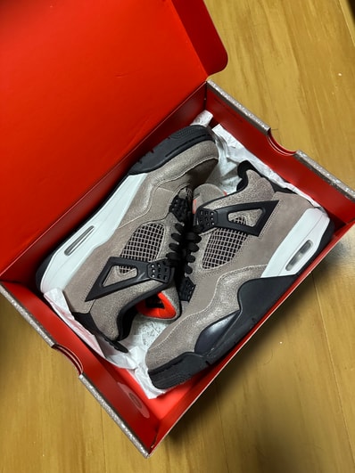 Nike Air Jordan 4 "Taupe Haze"