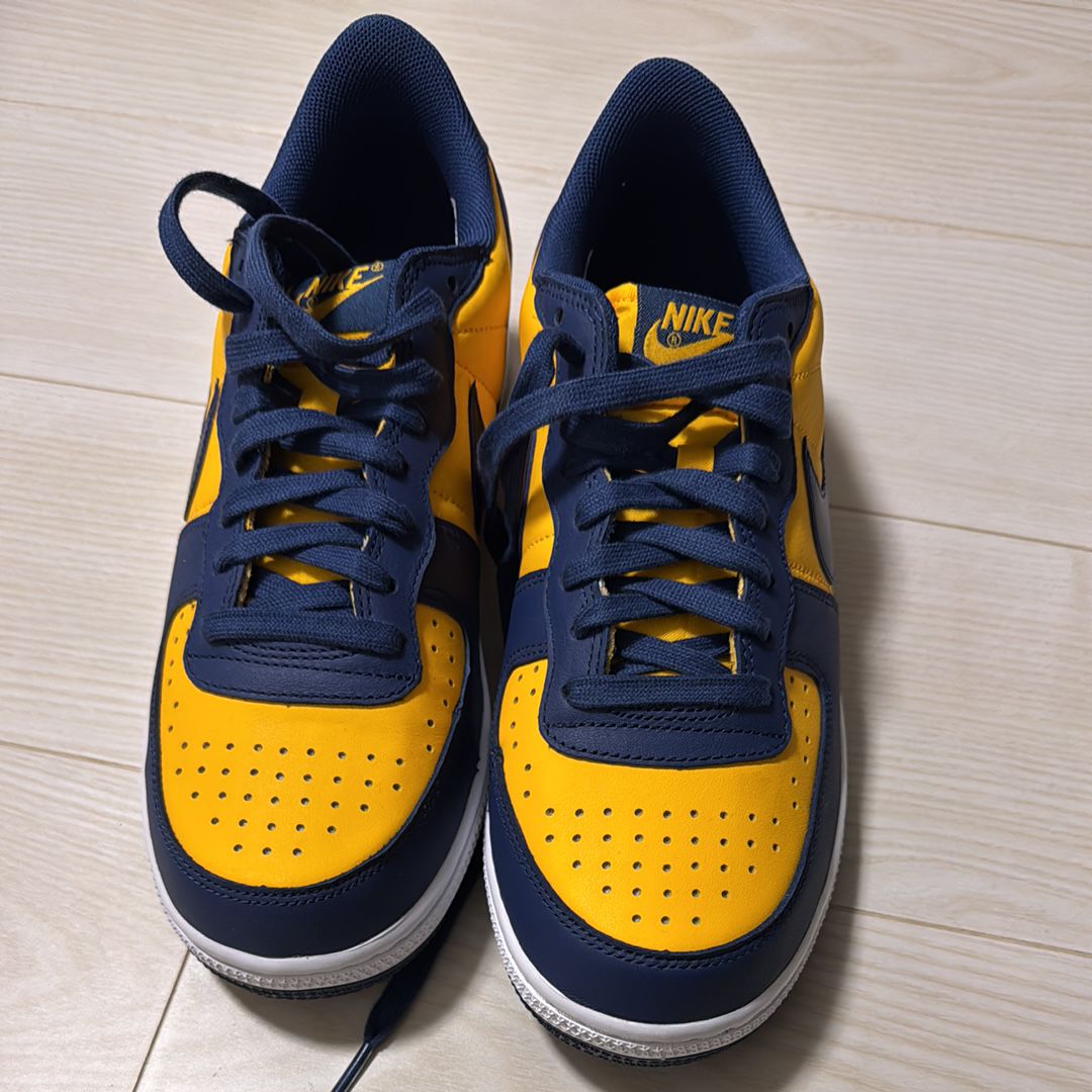 Nike Terminator Low "University Gold and Navy/Michigan"