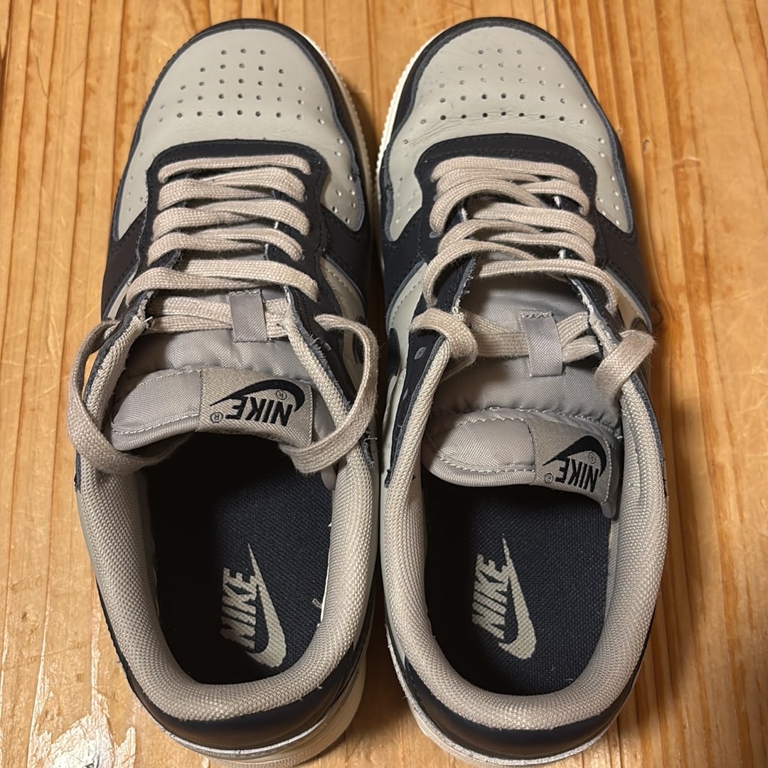 Nike Terminator Low "Dark Obsidian and Granite/Georgetown"(2023)
