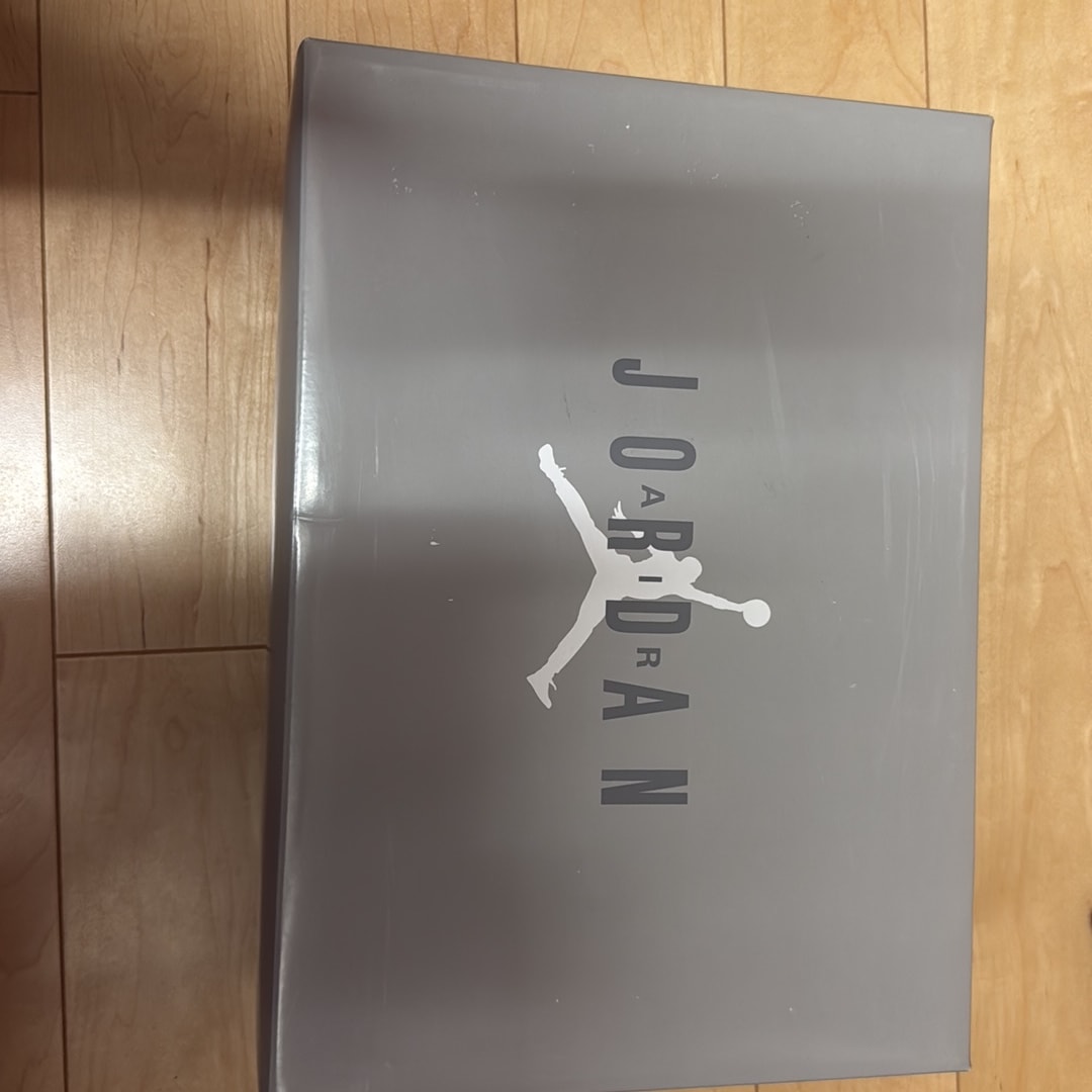 Nike Air Jordan 11 Retro "Cool Grey"