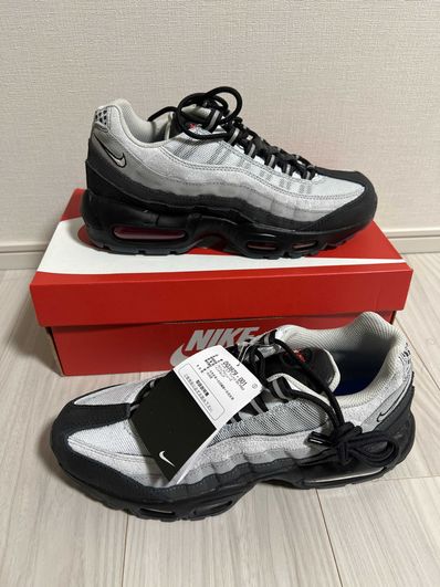 Nike Air Max 95 Koi "Pure Platinum"