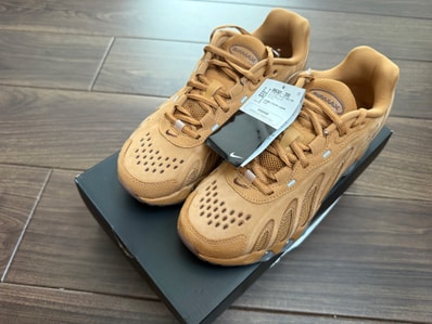 Nike Air Max DN8 Leather "Flax/Foner Brown"