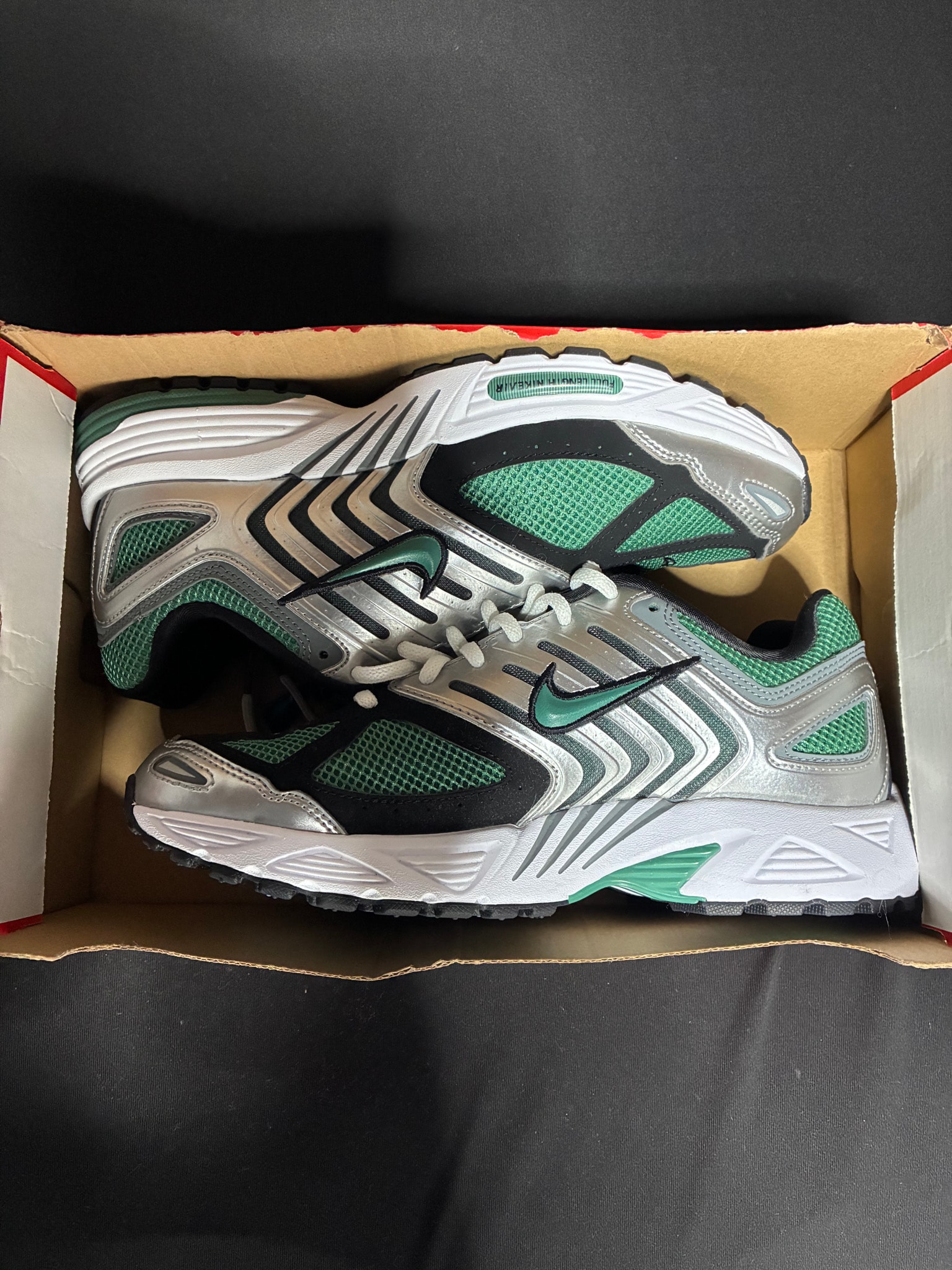 Nike Air Pegasus 2K5 "Bicoastal"